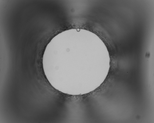 X0000103900865200809191053