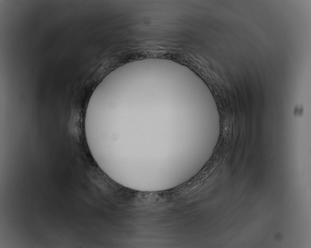 X0000103900866200809191053