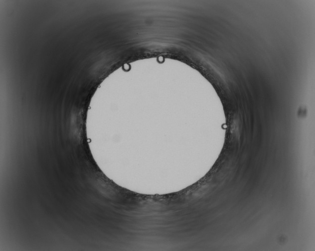 X0000103900868200809191053