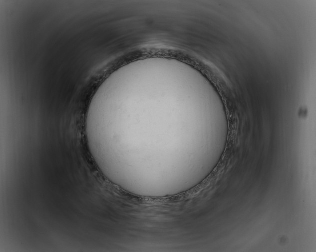 X0000103900870200809191053