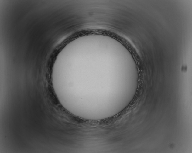 X0000103900871200809191053