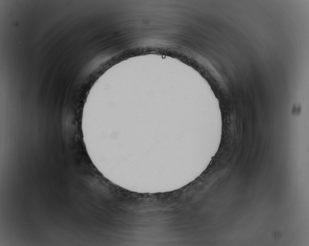 X0000103900872200809191053