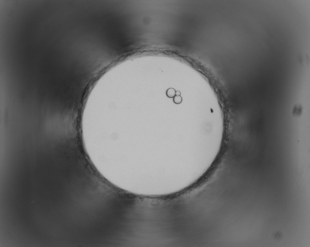 X0000103900873200809191053