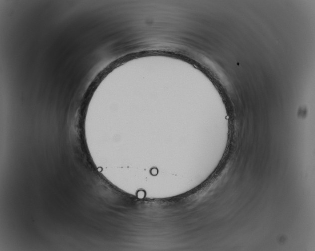 X0000103900875200809191053