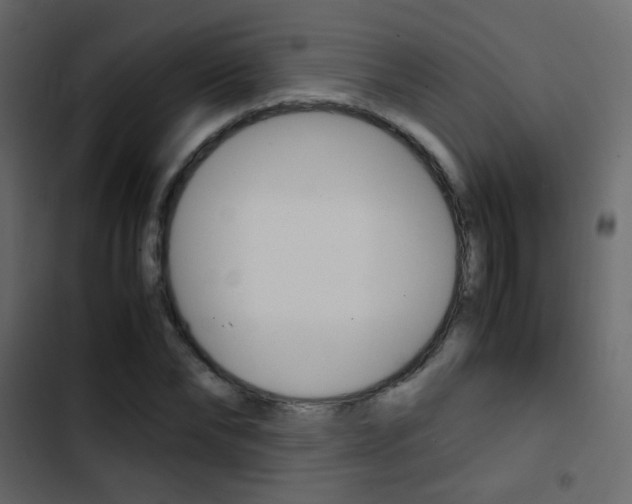 X0000103900878200809191053
