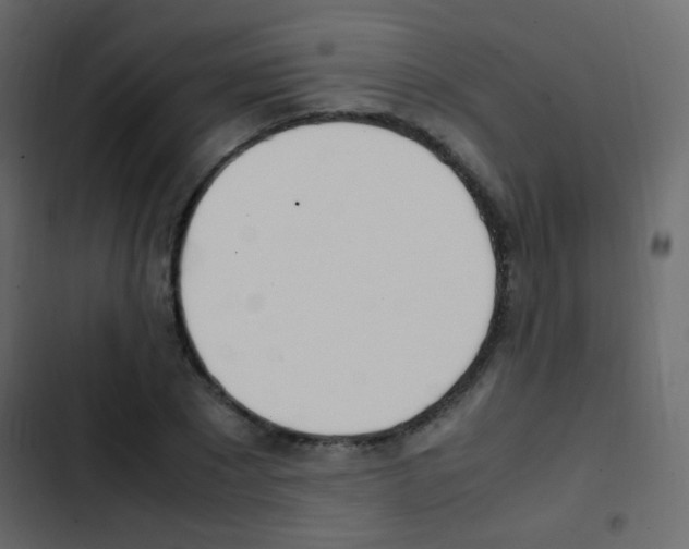 X0000103900881200809191053