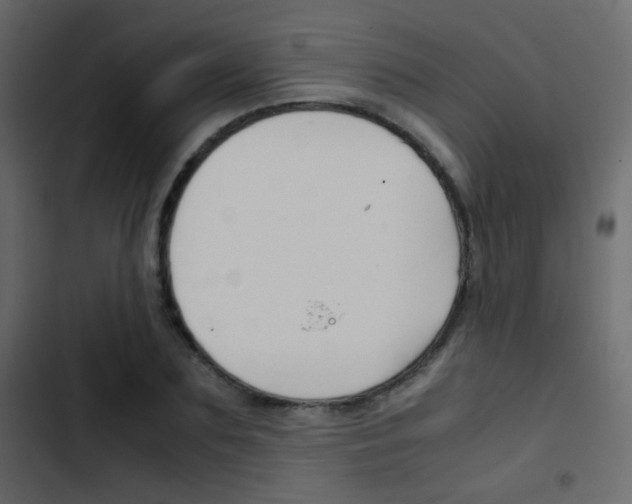 X0000103900883200809191053