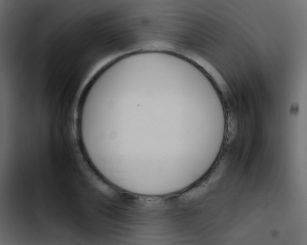 X0000103900886200809191053