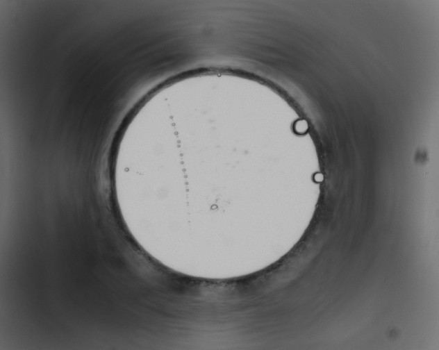 X0000103900887200809191053