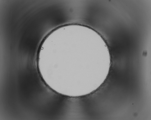 X0000103900888200809191053
