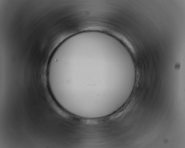 X0000103900890200809191053