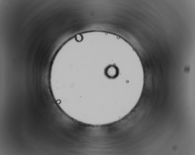 X0000103900896200809191053
