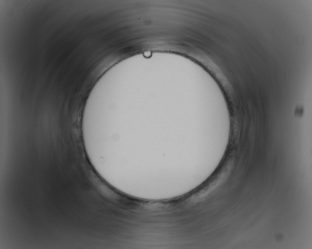 X0000103900897200809191053