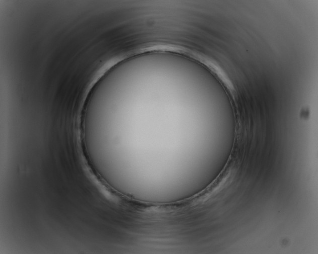 X0000103900898200809191053