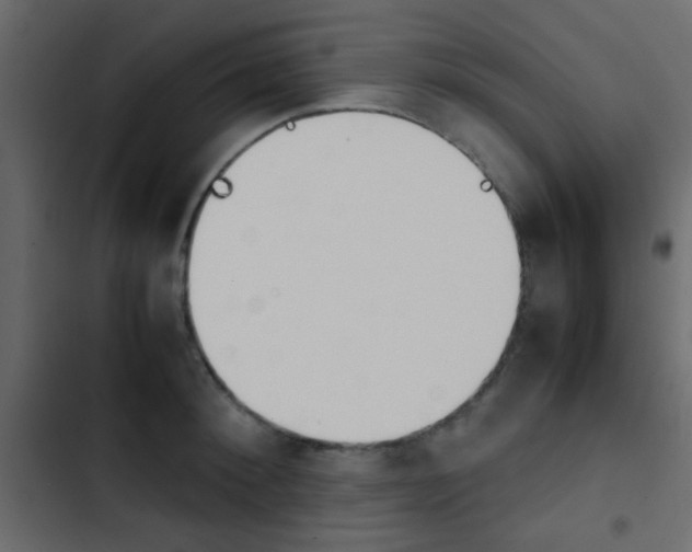 X0000103900900200809191052