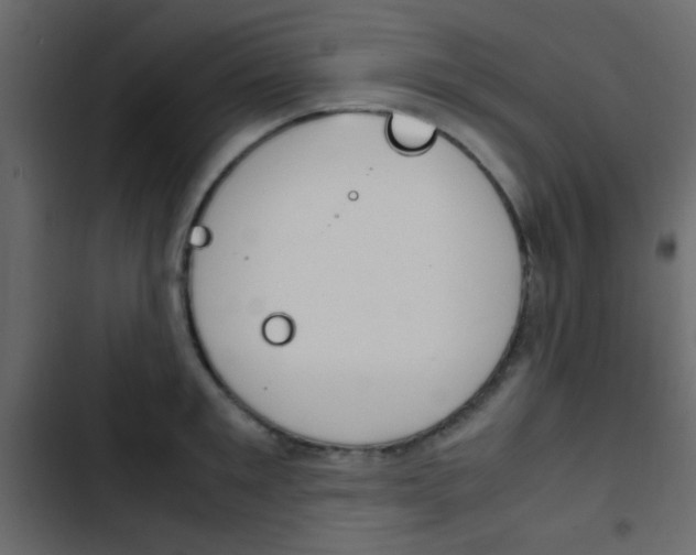 X0000103900901200809191052