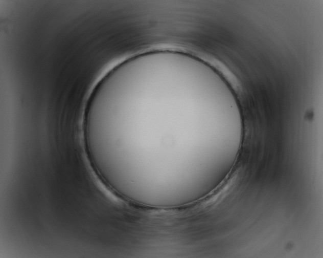 X0000103900902200809191052