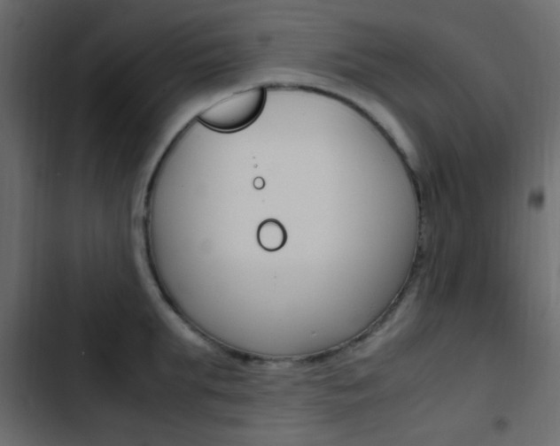 X0000103900903200809191052