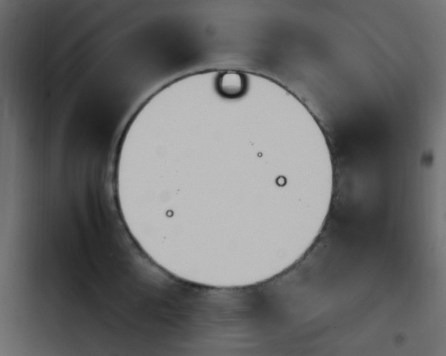 X0000103900904200809191052