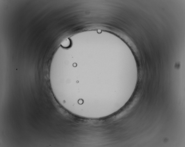 X0000103900905200809191052
