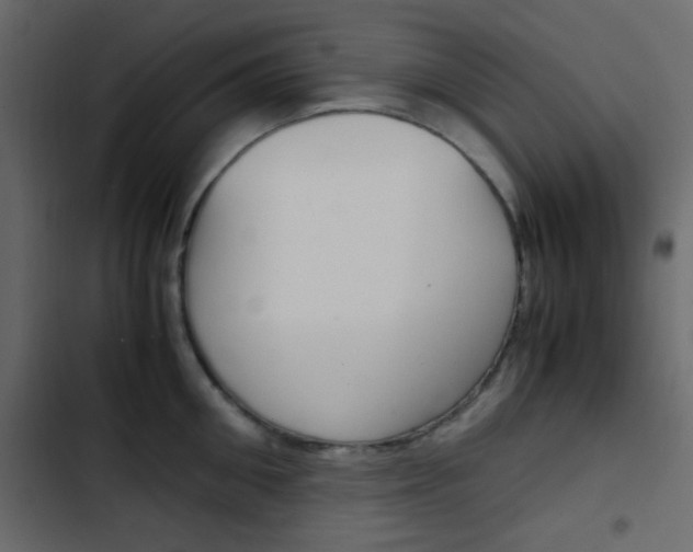 X0000103900906200809191052