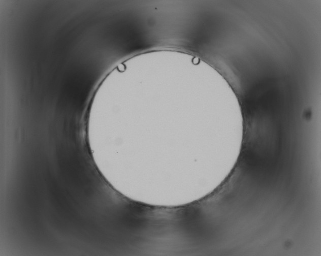 X0000103900908200809191052