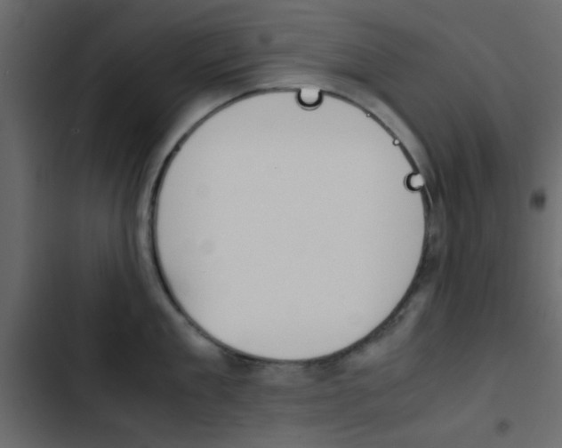 X0000103900909200809191052