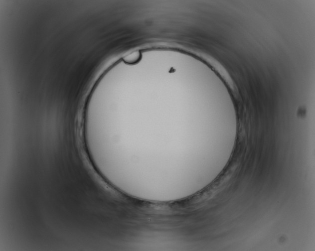 X0000103900911200809191052
