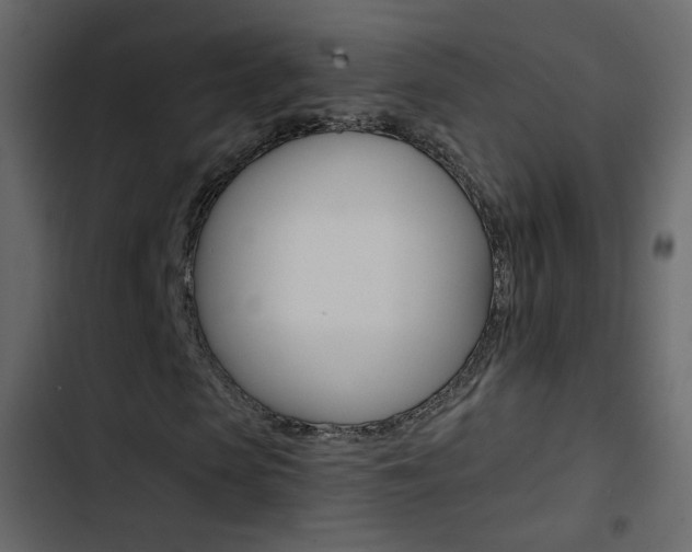 X0000103900913200809191051