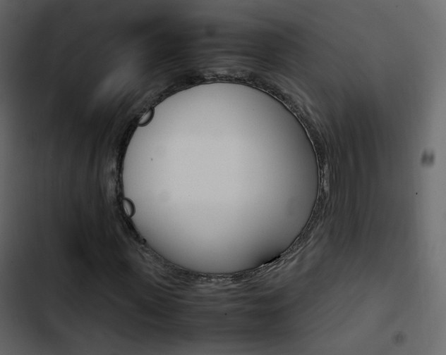 X0000103900915200809191052