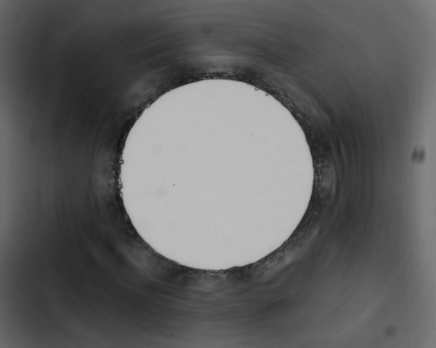 X0000103900916200809191052