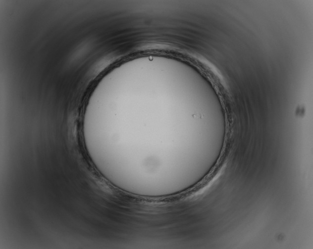 X0000103900921200809191052