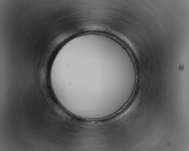 X0000103900922200809191052