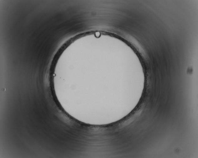 X0000103900924200809191052