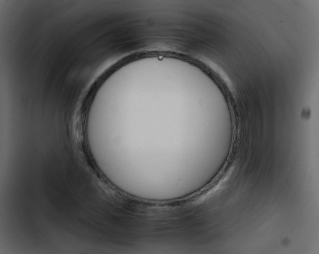X0000103900925200809191052