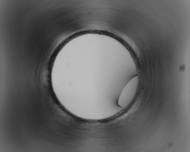 X0000103900926200809191052