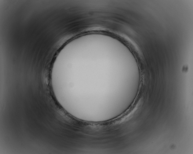 X0000103900929200809191052