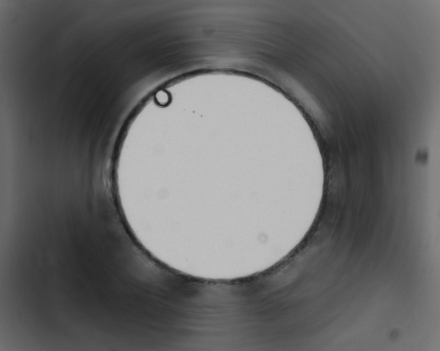 X0000103900932200809191052