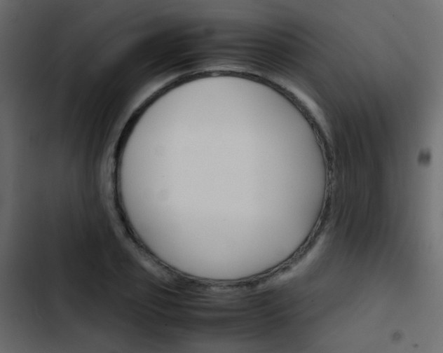 X0000103900933200809191052