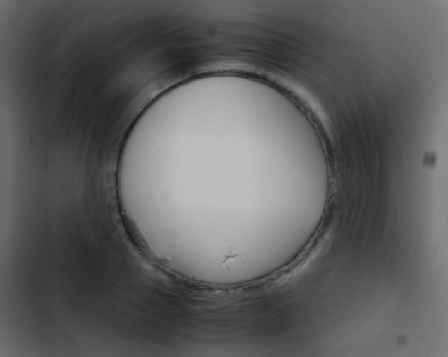 X0000103900937200809191052