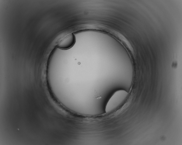 X0000103900938200809191052