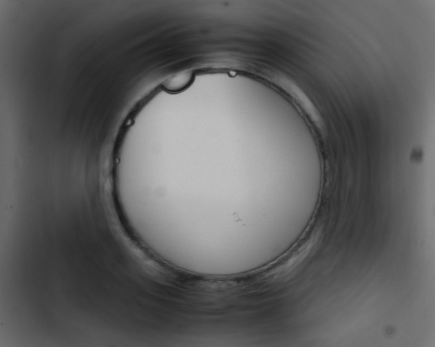 X0000103900939200809191052