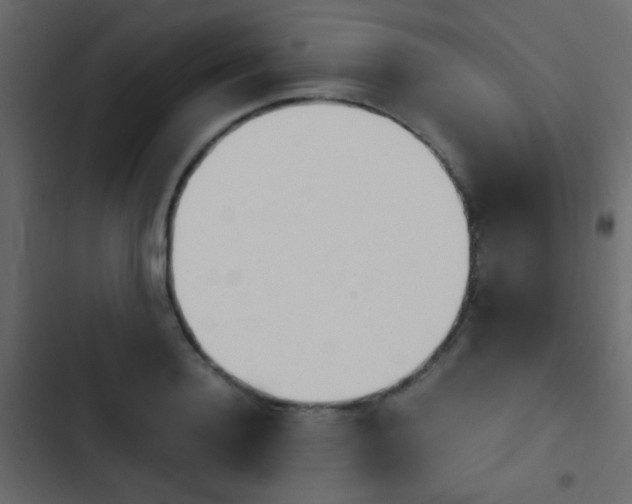 X0000103900940200809191052