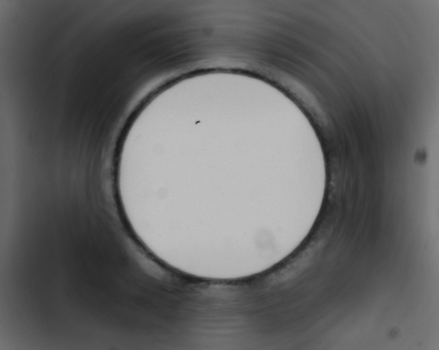 X0000103900942200809191052