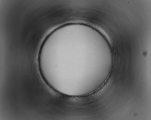 X0000103900943200809191052