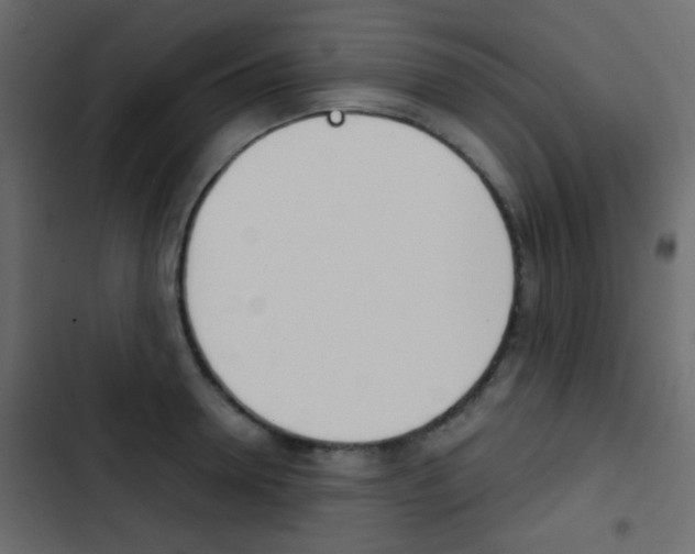 X0000103900946200809191052