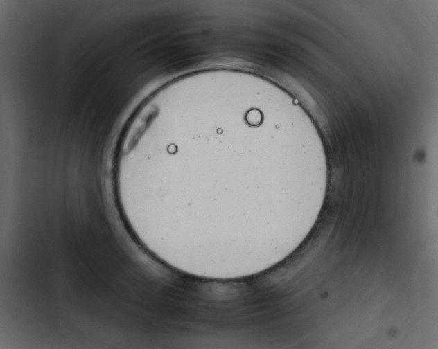 X0000103900947200809191052