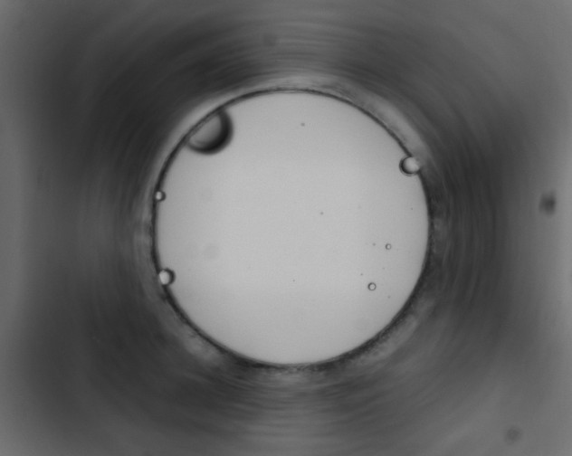 X0000103900948200809191052