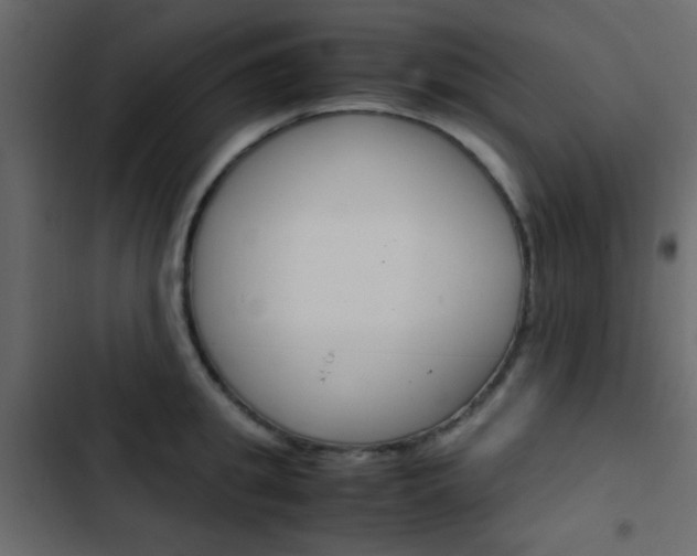X0000103900949200809191052