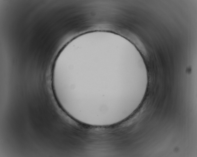 X0000103900950200809191052